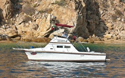 28ft californian sport fisher by redrum sport fishing los cabos reelrum