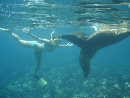 Snorkel Cabo Sealion Bikini play Santa Maria Bay